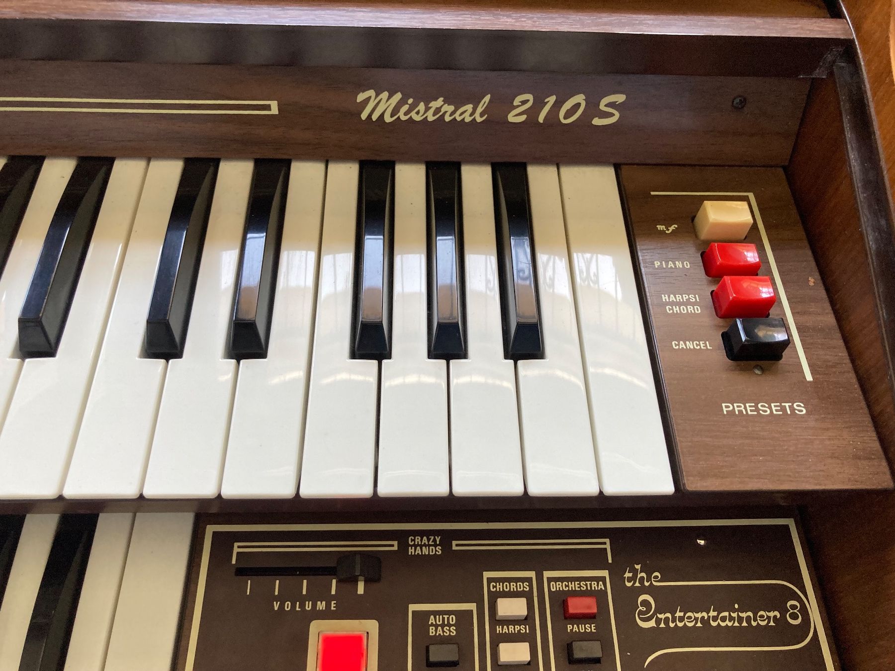 Strumenti musicali: Harmonium Elgam – Usato da Domat/Ems venduto da Lareina2015 6
