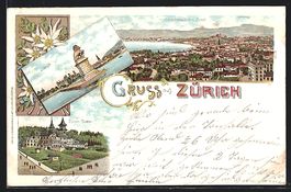 Litho Zürich, Löwendenkmal, Gesamtansi