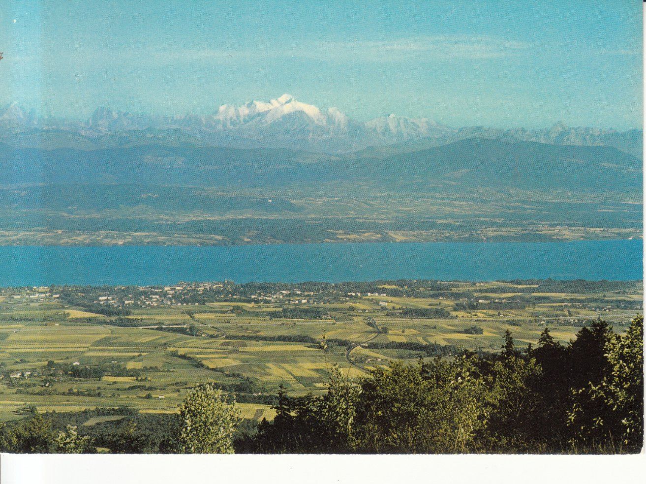 Cartoline postali: St. Cergue Aussicht 1981 – Usato da Bürglen TG venduto da StampGraf