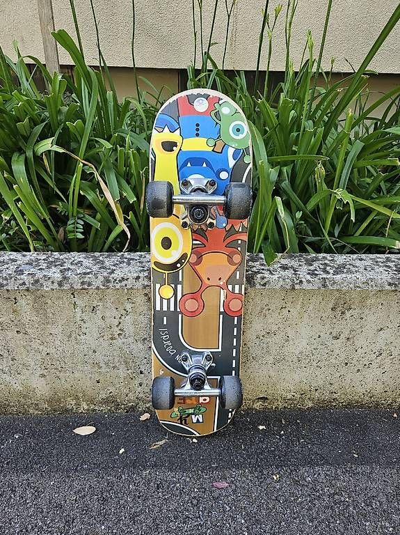Skateboards: Mini Skateboard my area  60cm  – Gebraucht aus Zürich von vintonsen