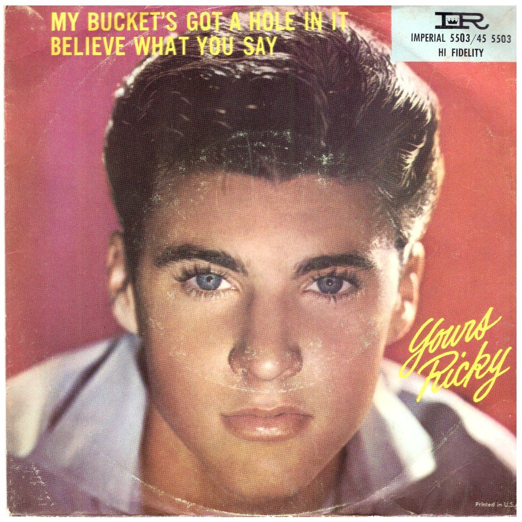 Dischi in vinile: RICKY NELSON – Usato da Bassersdorf venduto da house-of-vinyl