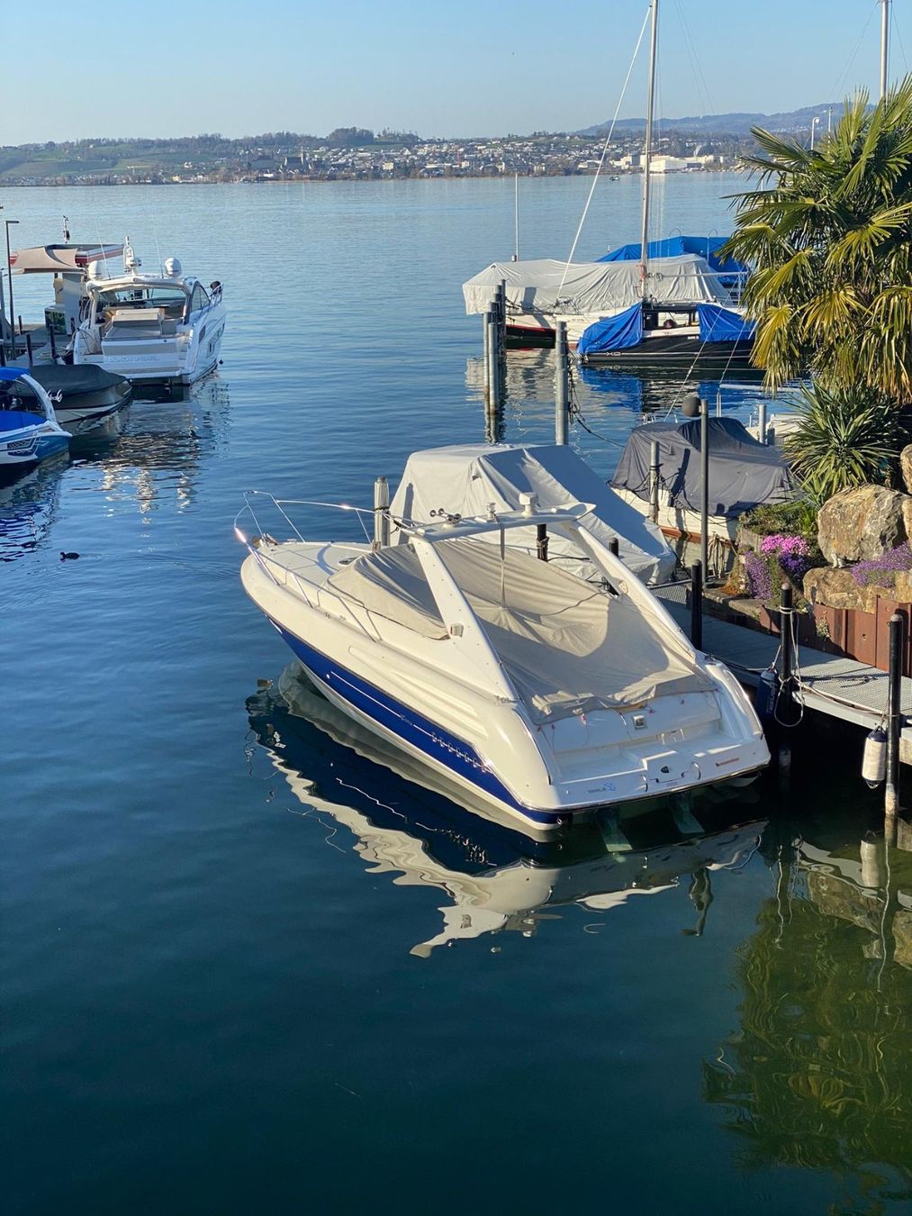 Sunseeker Bateaux: Sunseeker 31 Hawk – D'occasion à Altendorf par sunseeker62 1