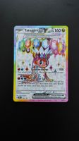 Tatsugiri Ex #226 🌈 NM-boosterfrisch