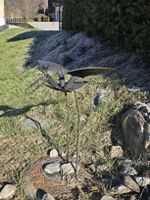 lustiger Vogel