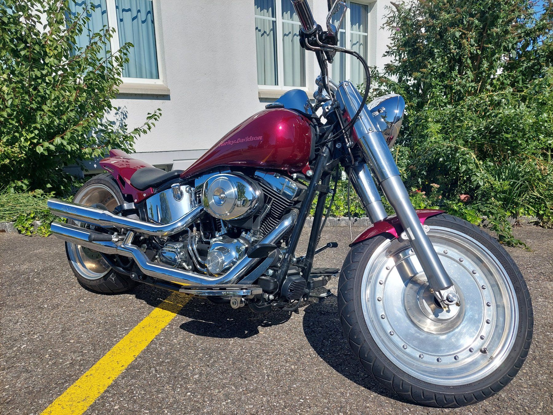 Chopper: Harleiy Davidson FLSTF – Usato da Altnau venduto da wahet
