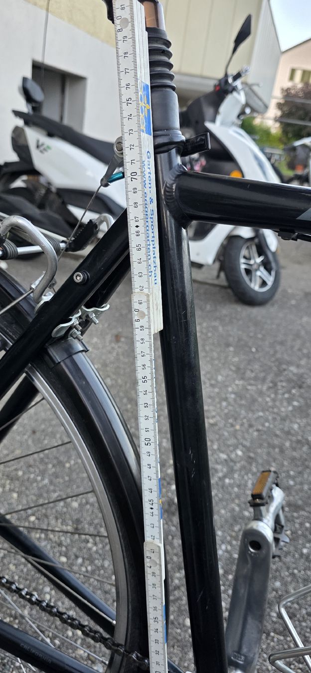 Biciclette: CALIFORNIA BLADE VELO – Usato da Solothurn venduto da mar_8qf8 1