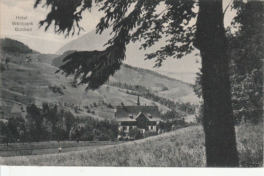 GoldiwilHotel WildparkKarte gelaufen 1925 Kaufen auf Ricardo