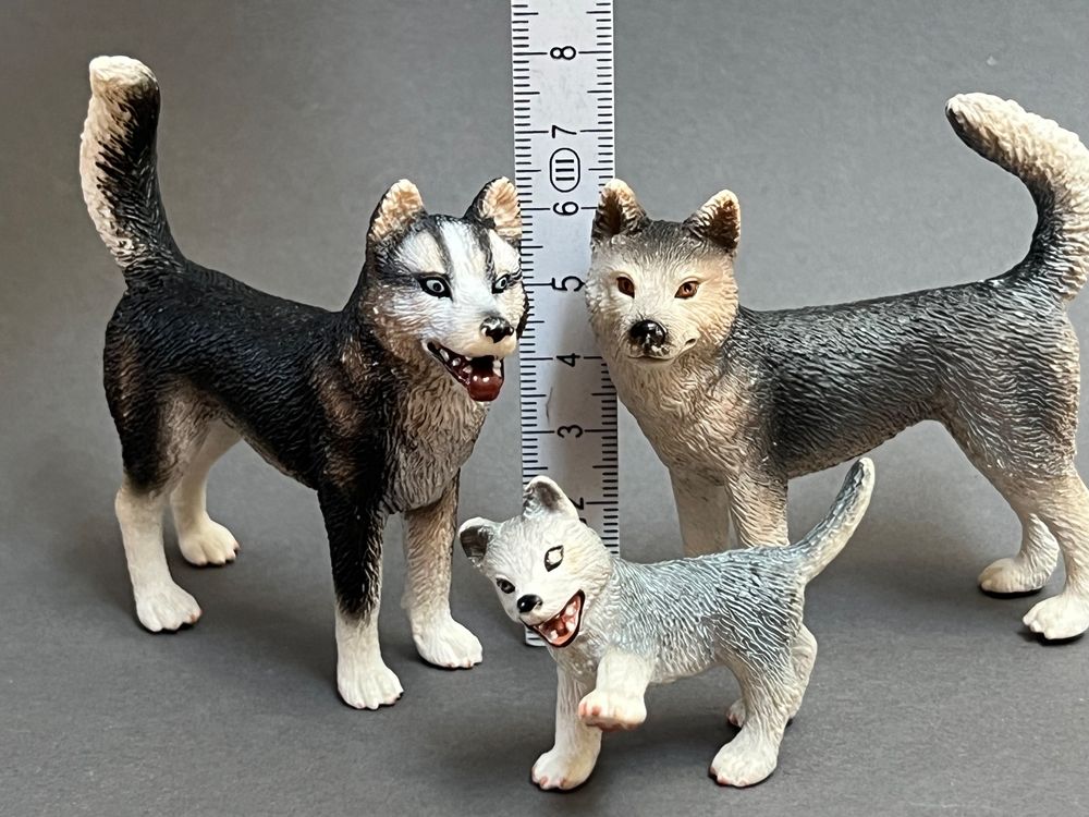 Schleich 2024 husky female