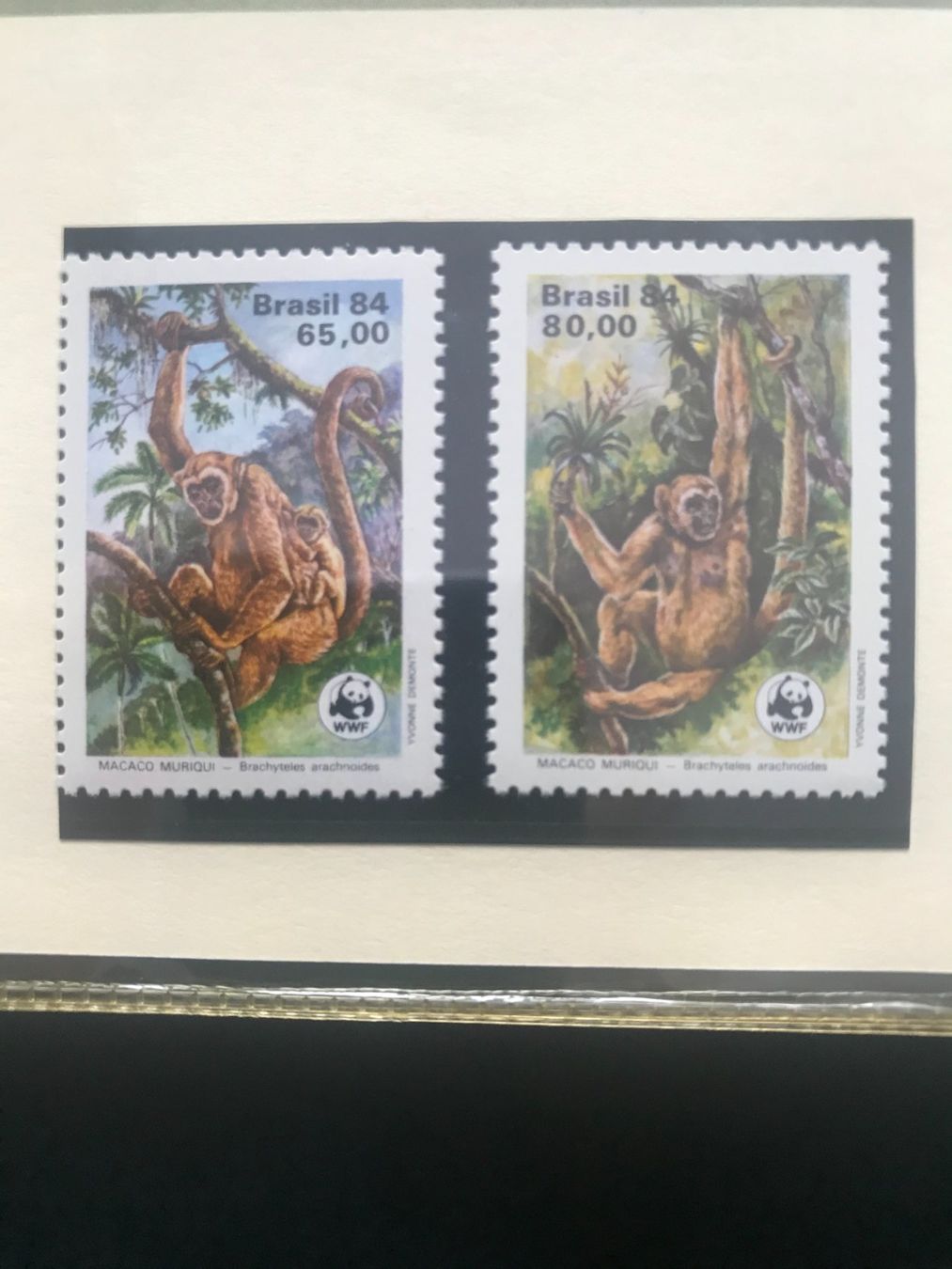 Tutti i francobolli: WWF Brasilien 1984 Spinnenaffe Satz postfrisch – Nuovo (secondo la descrizione) da Liestal venduto da schnueps