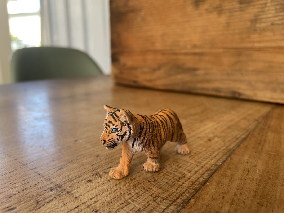 Schleich Giocattoli: Schleich Tiger Baby – Usato da Bonstetten venduto da soleillle