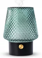Diffuser 100 ml, Handgeblasenes Glas Duftöl Diffusor