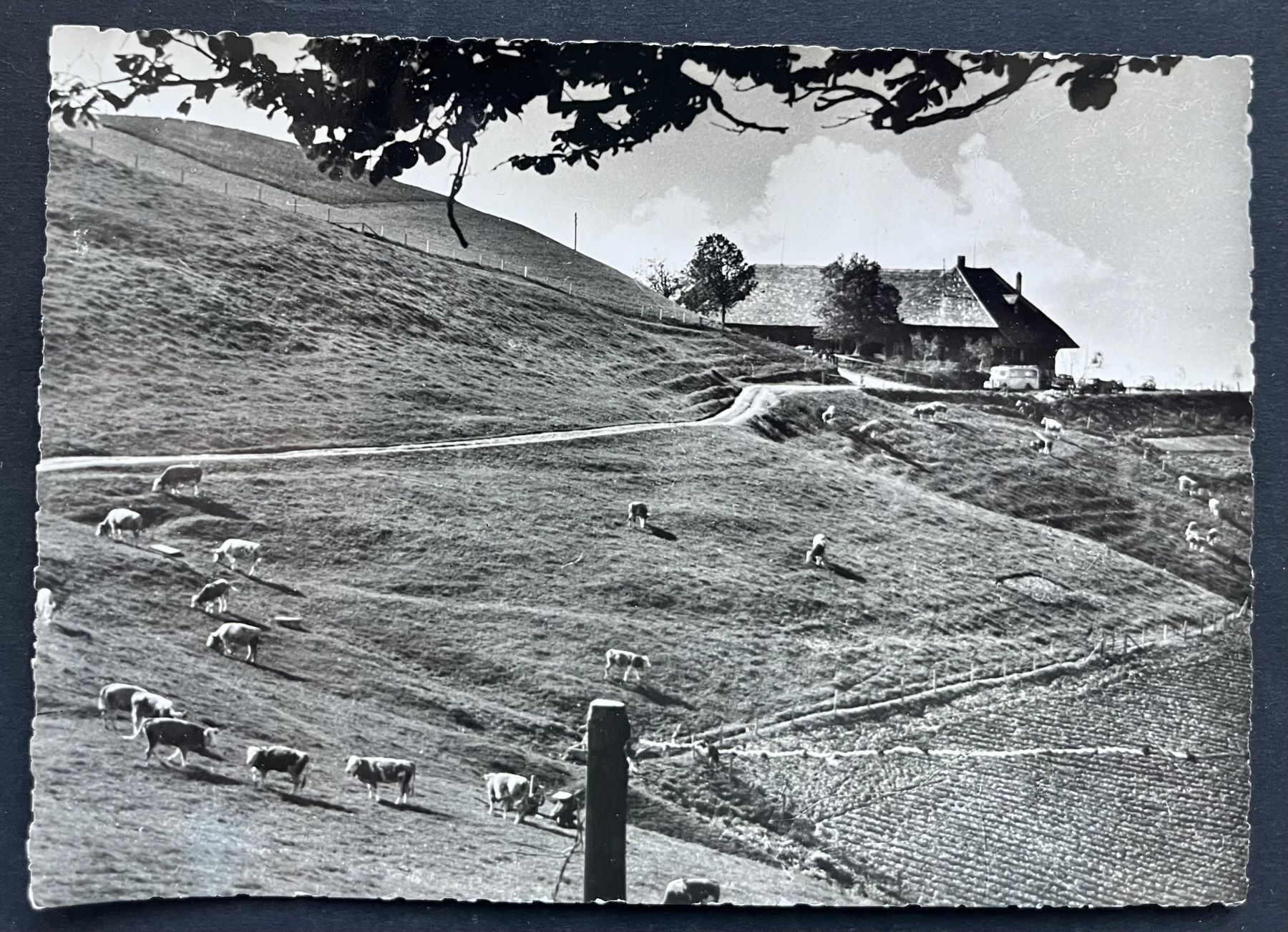 Cartoline postali: Bergwirischaft Ahorn Post: Flühlen-Luthern / ca 1960 – Usato da Ostermundigen venduto da DaxKarten-75
