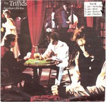 The triffids - goodbye little boy