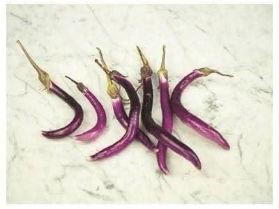 Piante & sementi: Aubergine MA-ZU !  5g – Nuovo (secondo la descrizione) da Bremblens venduto da FIBONACCI369 2