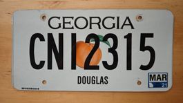 US Licence plate Georgia State