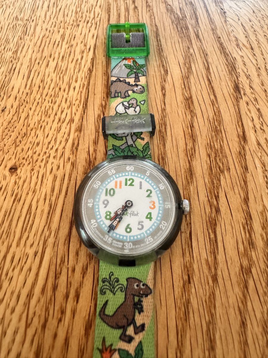 Flik Flak Orologi: Dino Flik Flak – Usato da Rudolfstetten venduto da nad_j7jq 2