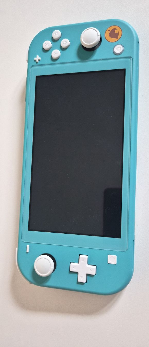 Nintendo Console: Nintendo switch lite – Usato da Worblaufen venduto da jan_7szj