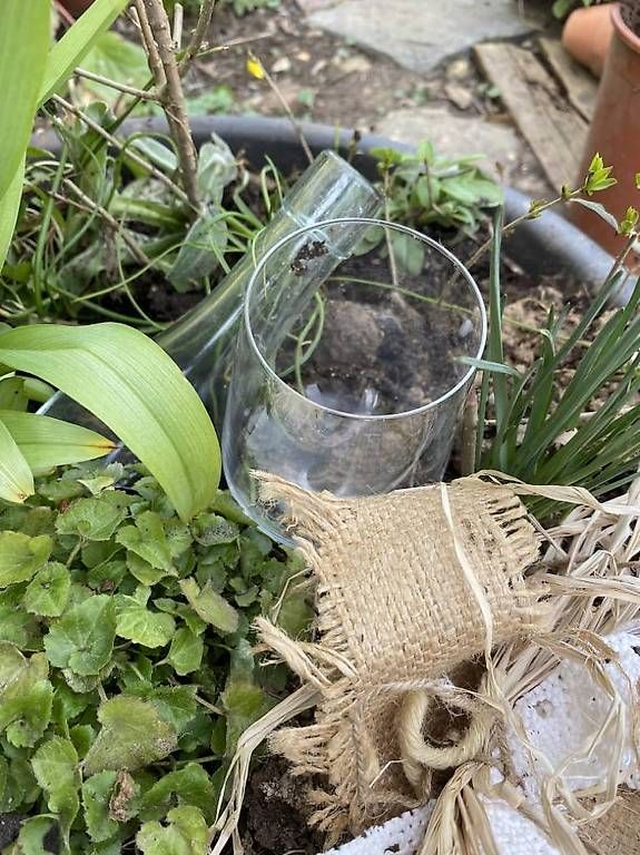 Ciotole: 7 Blumen in der Schale – Usato da Frauenfeld venduto da Irene.Schuppli 1