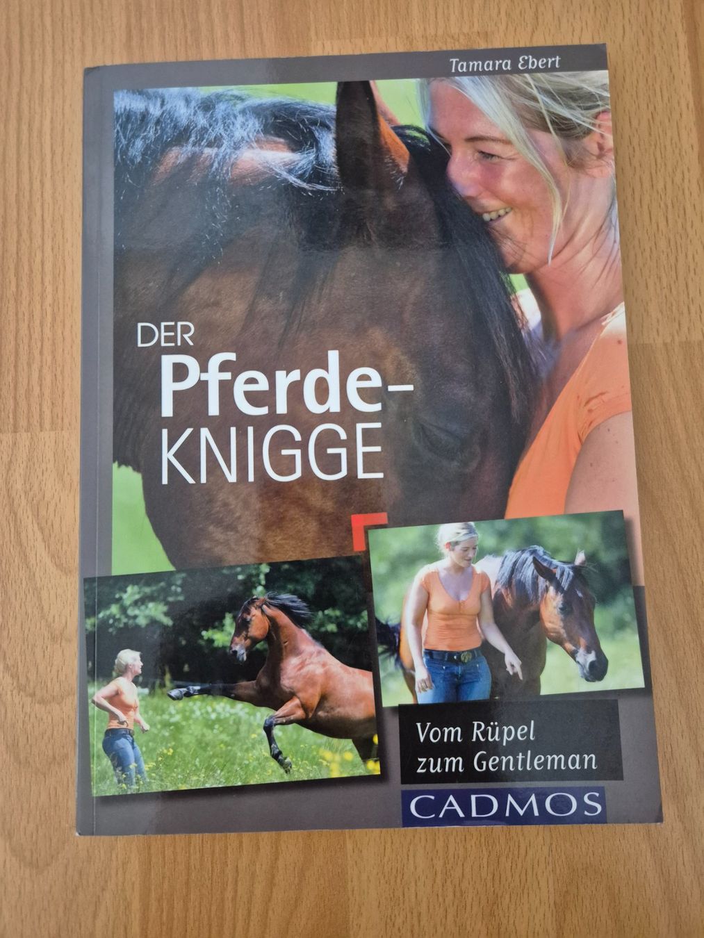 Brides, licols: Pferdefachbuch – D'occasion à Meggen par Orrinka20
