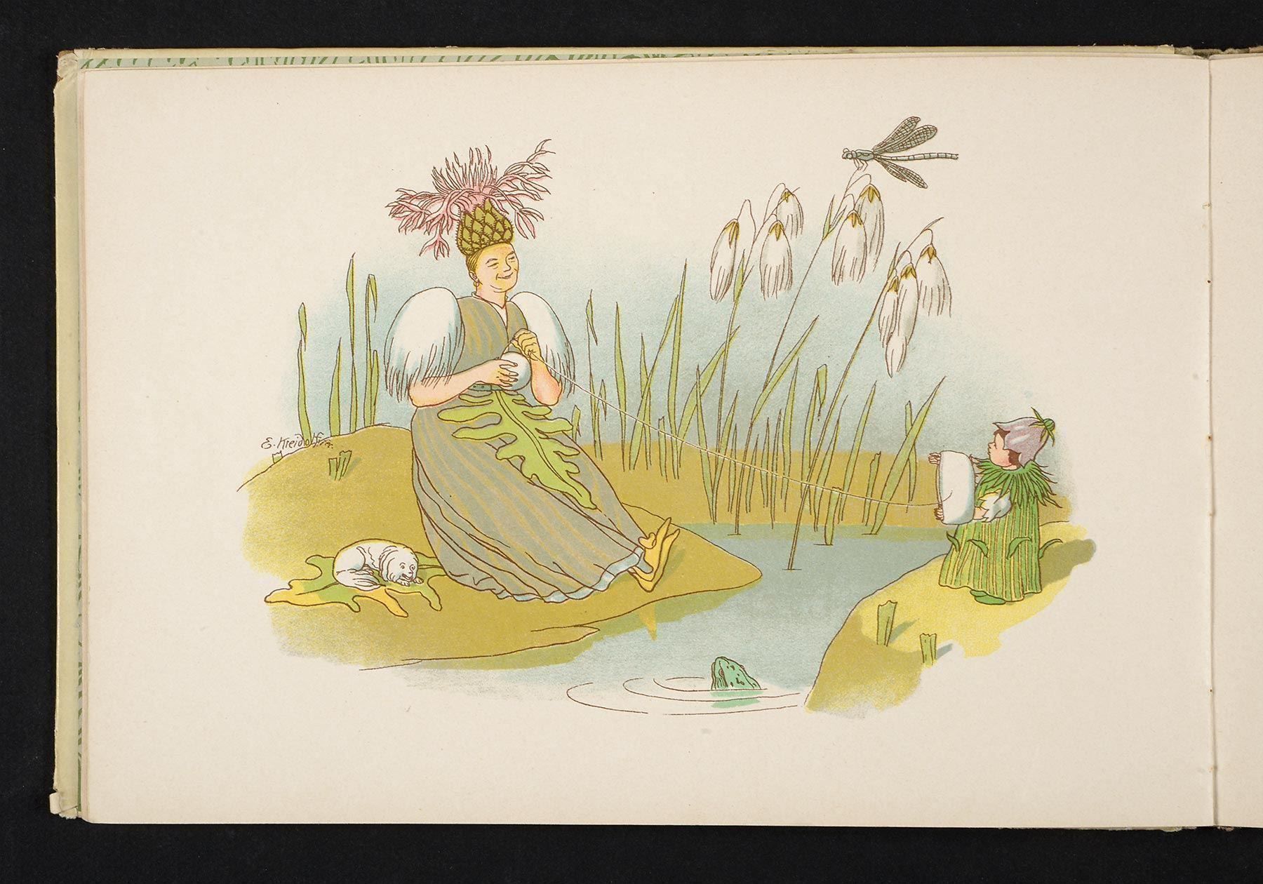 Bücher: Kinderbuch: Kreidolf Blumen-Märchen mit Lithos, 1925 – Gebraucht aus Bern von chamunda