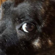 Profile image of vinylmore