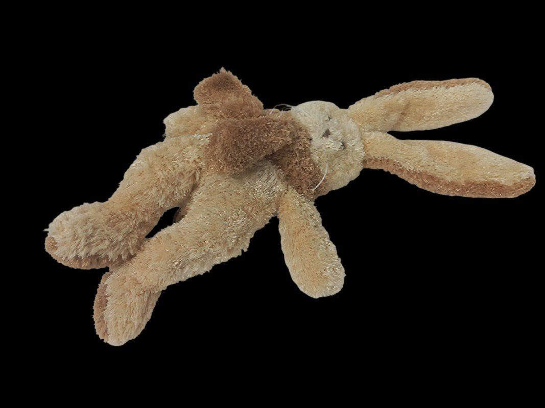 Giocattoli: DIMPEL Plüschteddy und -hase, 2er Set – Usato da Hünenberg venduto da Restwert_Zug 6