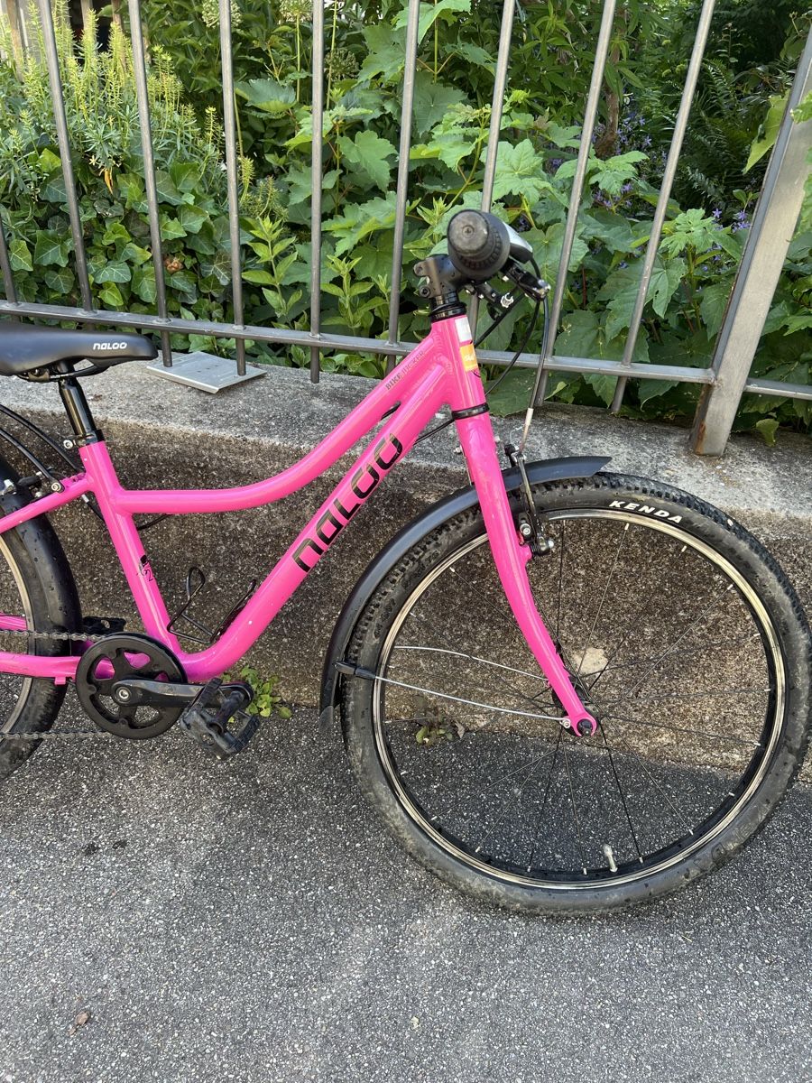 Naloo Biciclette: Naloo 24 Chameleon in pink – Usato da Basel venduto da Chris_4056 4