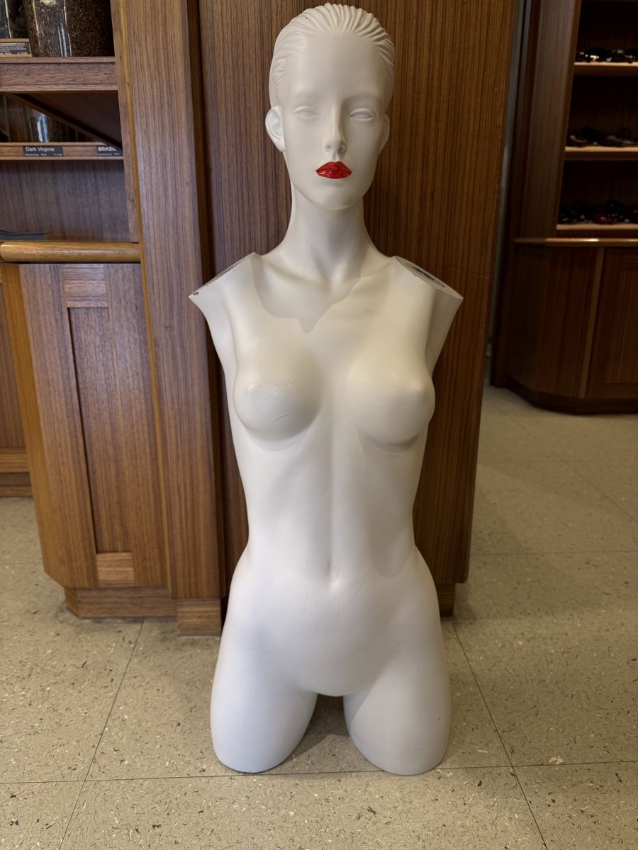 Altro in Decorazioni & Accessori: Schaufensterpuppe Torso weiblich – Usato da Andhausen venduto da danny1407