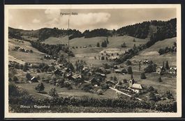 Krinau-Toggenburg, Teilansicht mit Pensi