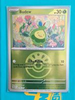 Budew Reverse Holo Ball  Pokemon Ascended Heroes