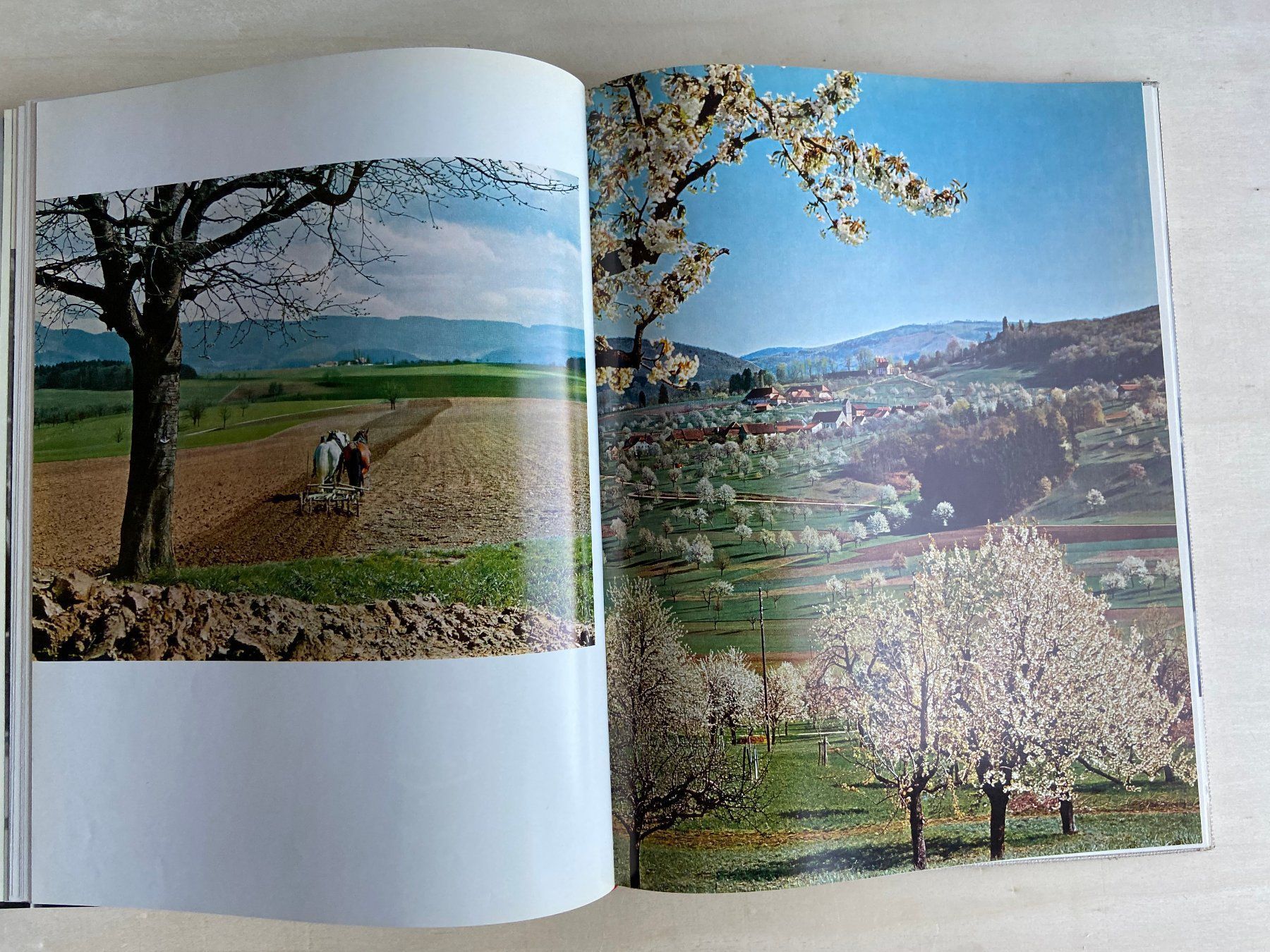 Bücher: Buch Baselland zwischen Strom und Berg – Gebraucht aus Böckten von Hansi36 6