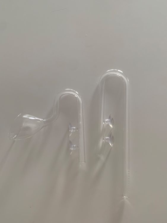 Glass Lily Pipe (16/22) für das Aquarium Kaufen auf Ricardo
