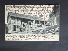 AK Gasthaus Krauthütte Rigi-Klösterli  1904  (V753)