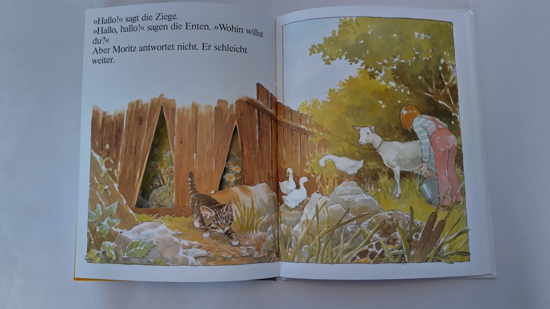 Livres: Moritz, Katzenkind / Katzen Bilderbuch mit Gucklöcher – D'occasion à Bellach par JingleJerry 5