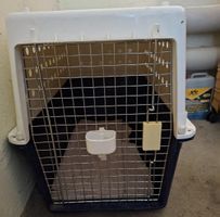 Gut erhaltene Hunderetransportbox für Reisen, Sommer 🐾