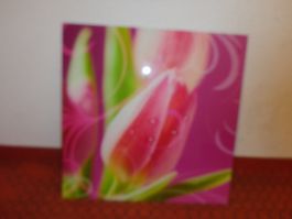 Bild Glas Motiv Tulpe