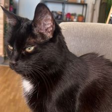 Profile image of YuniX