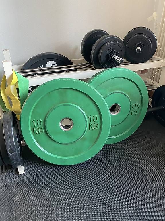 Manubri & Pesi: Crossfit Gewichtsscheibe Bumper Plate 10kg – Usato da Luzern venduto da Camille6003