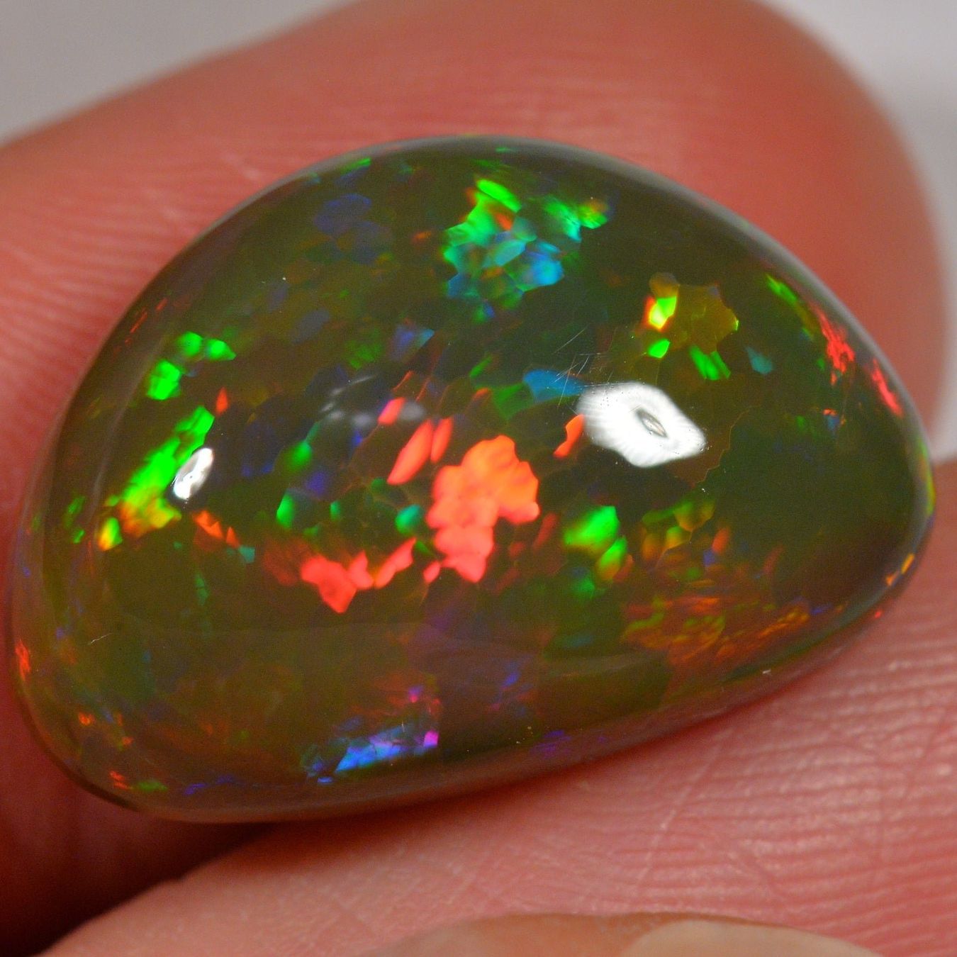 Pietre preziose: 14.4 Karat - Äthiopischer Welo Opal – Nuovo (secondo la descrizione) da Rüti ZH venduto da DeinOpal 4