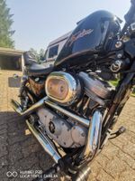 Harley Davidson 883 🏍️🤘🔥
