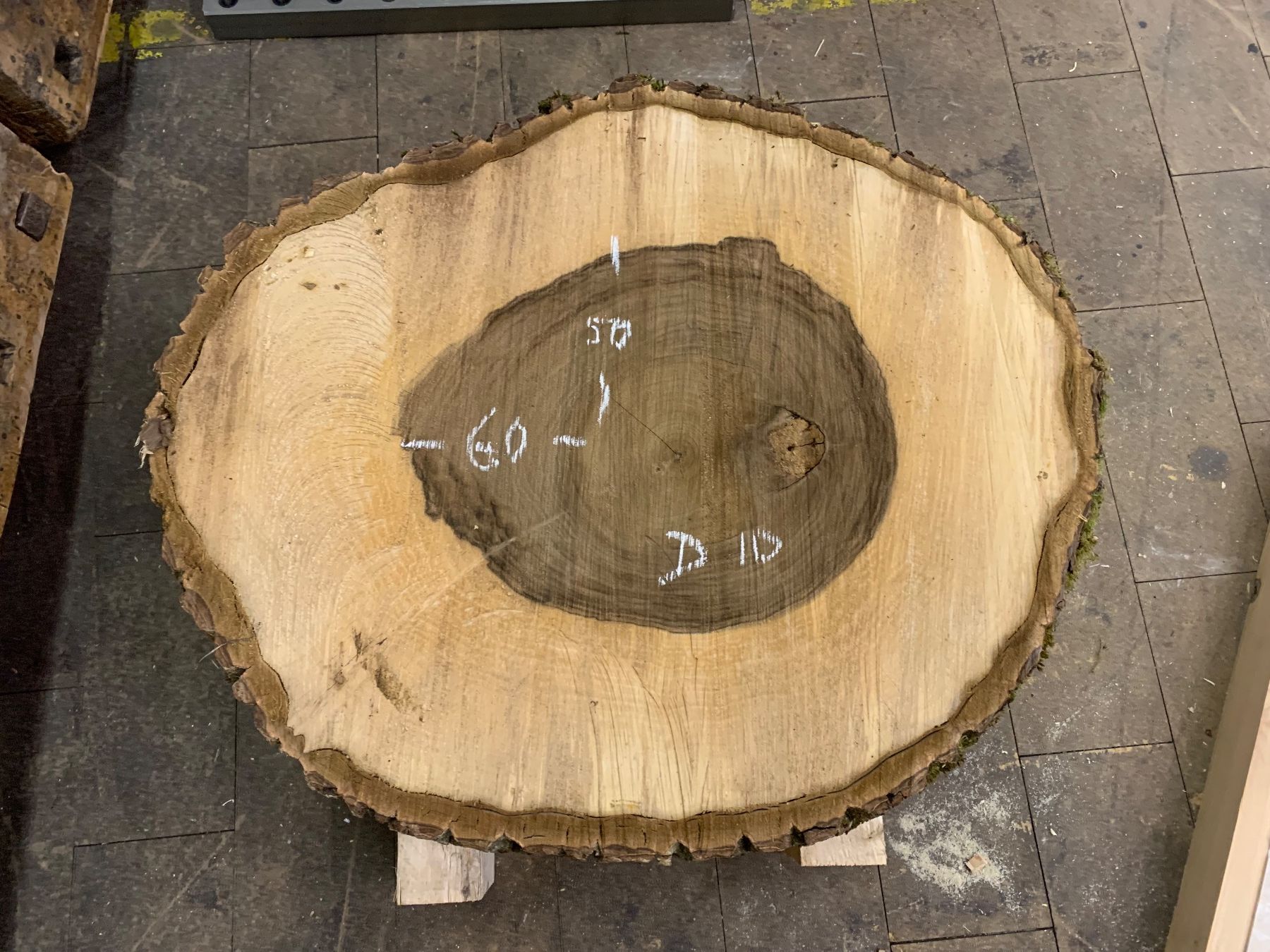 Holzartikel: Baumscheibe Nussbaum / Holzscheibe – Gebraucht aus Seedorf UR von Lochy 2