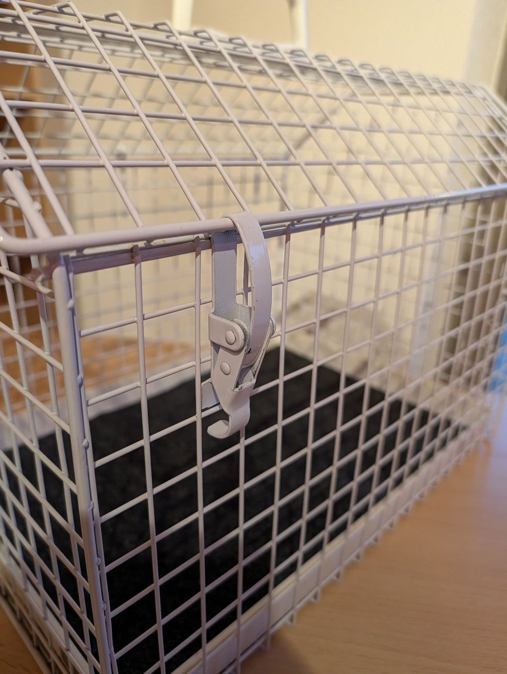 Liege- & Schlafplätze: Katzentransportbox Metall Weiss – Gebraucht aus Bözen von Maerchenprinz 2