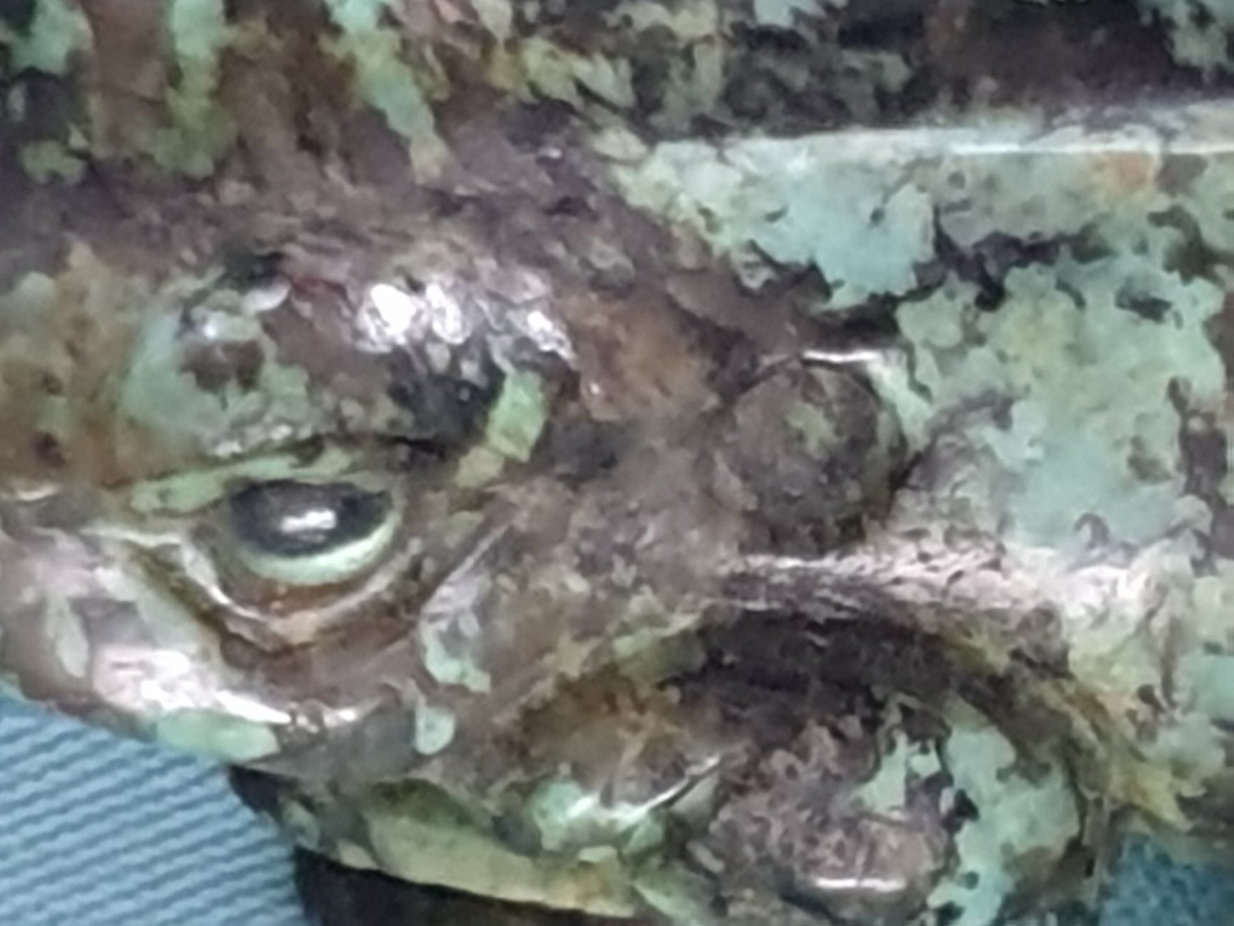 Statuette: Frosch Figur aus Stein – Usato da Mörschwil venduto da spirspi 8
