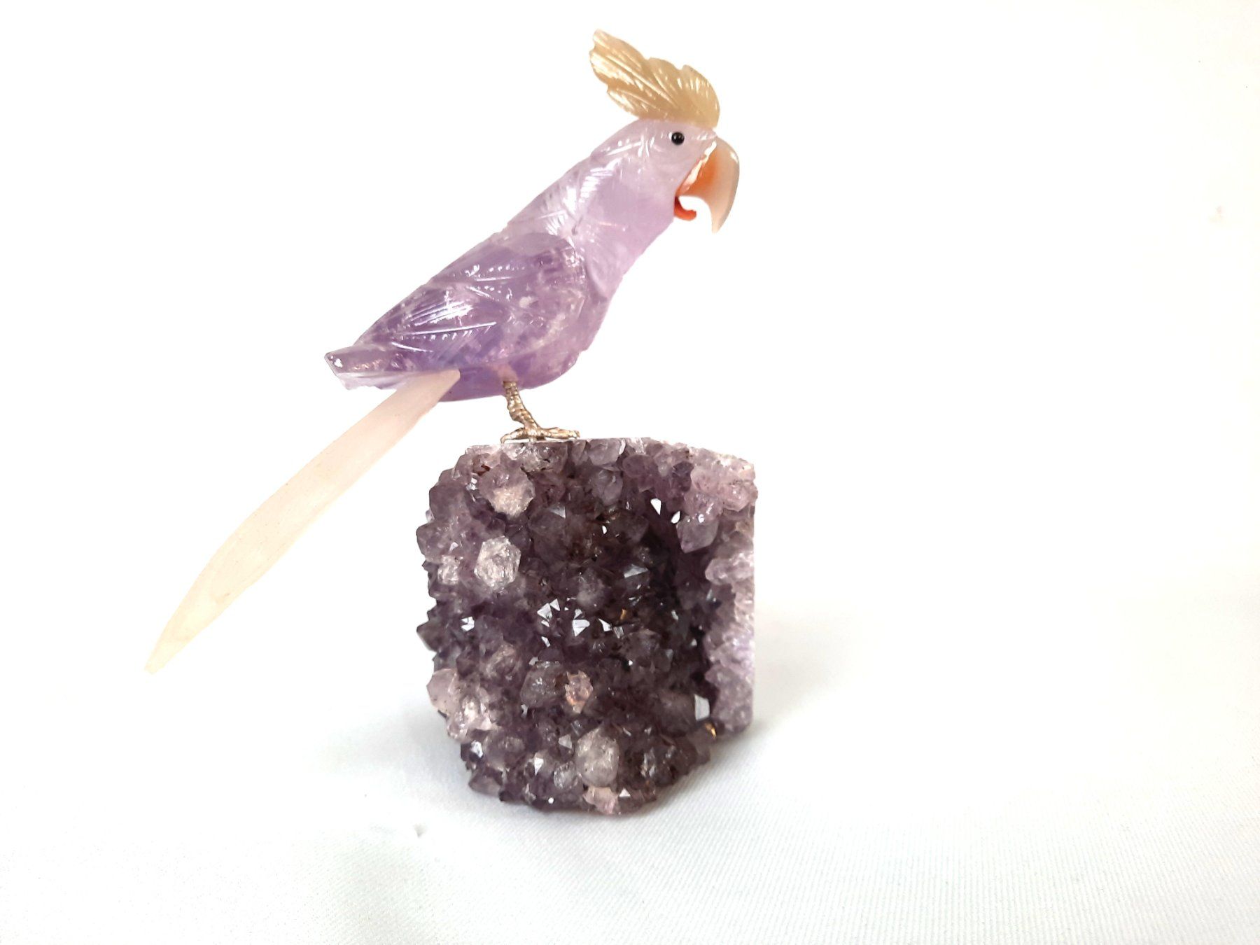 Minerali & Pietre curative: Papagei auf Amethyst – Usato da Beinwil am See venduto da Restwert_Beinwil
