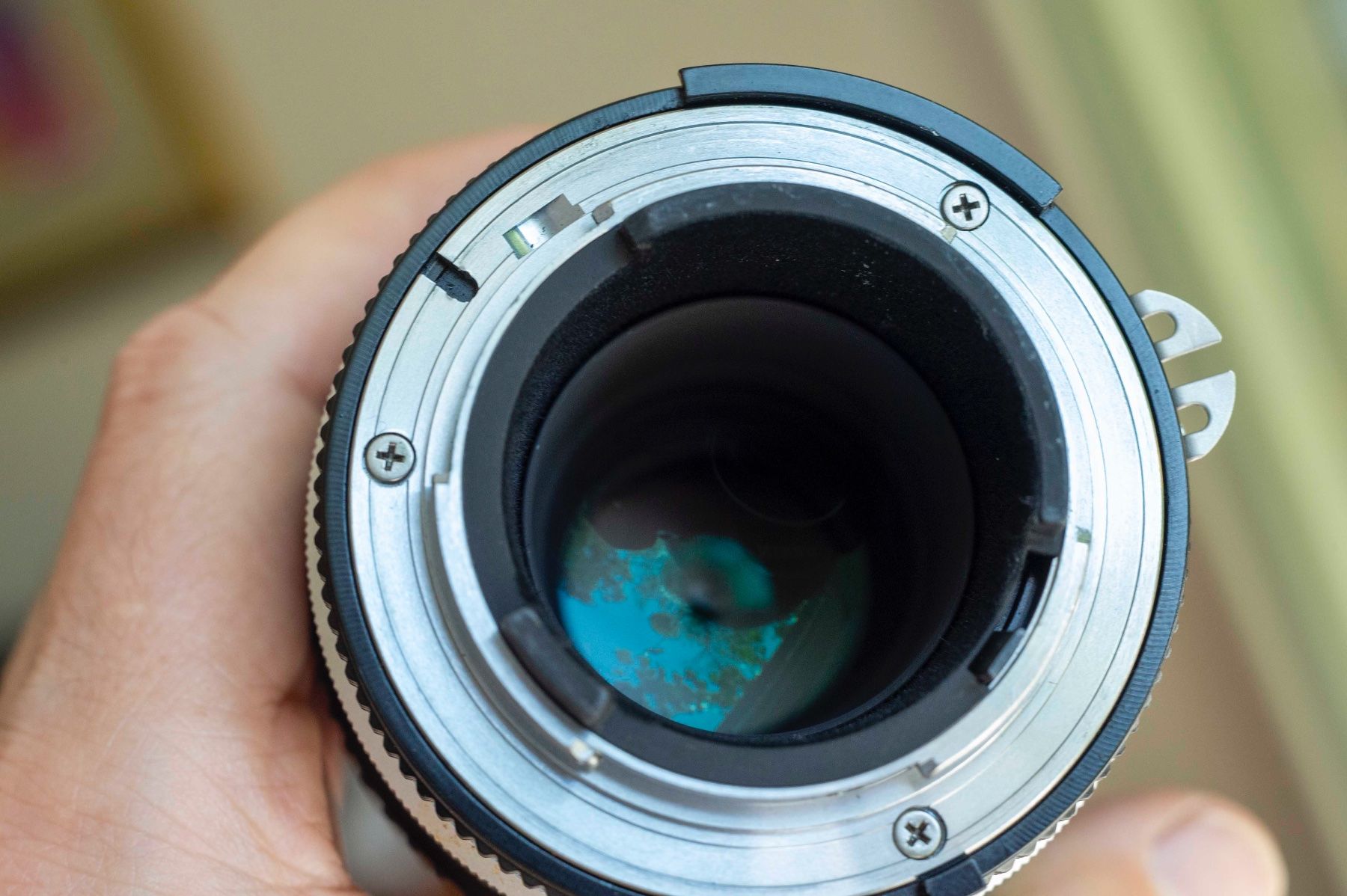 Nikkor Objektive: Nikon Micro-Nikkor 105mm f4.0 AIS – Gebraucht aus Schwerzenbach von floridan 7