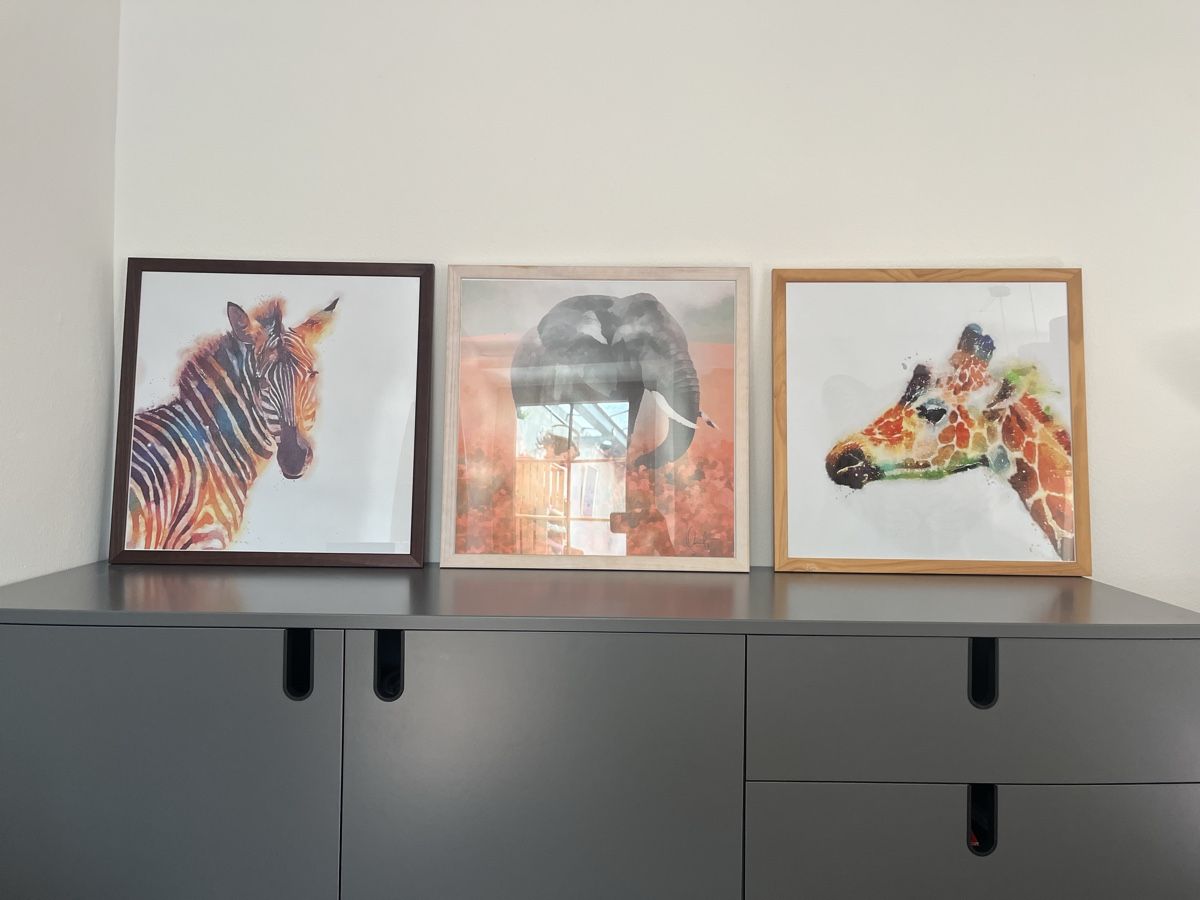 Posters & Illustrations: 3er Set Tierbilder Zebra, Elefant, Giraffe – D'occasion à Murten par kkrusty