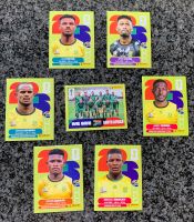 Panini Stickers
