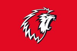 LHC-Lugano 1 place assise secteur 224 7.10.2026