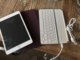Mini iPad 3