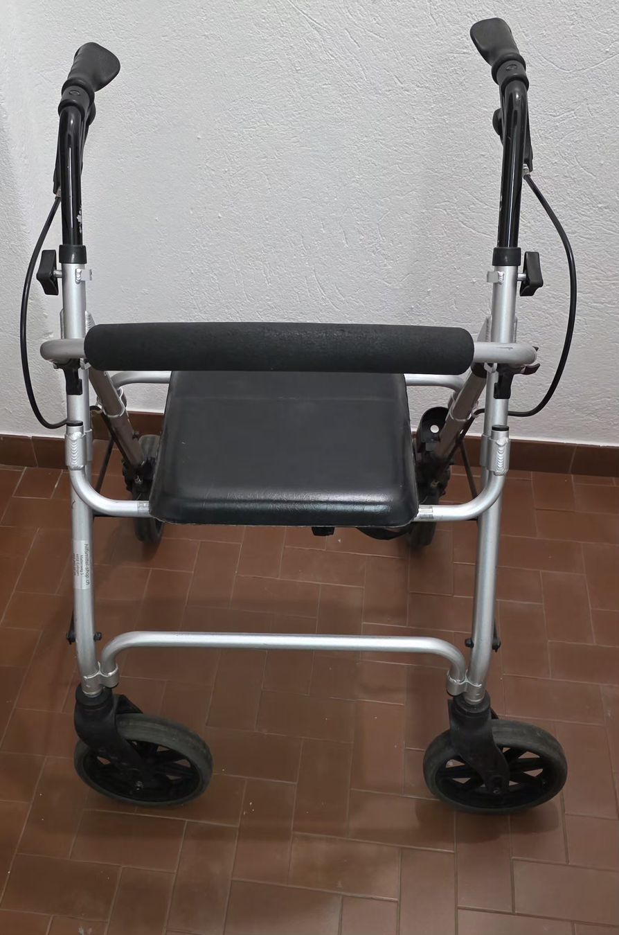 Ausili per la deambulazione: Rollator / Deambulatore – Usato da Lugaggia venduto da lele82 1